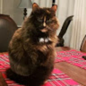 Meet your Posher, Peggy